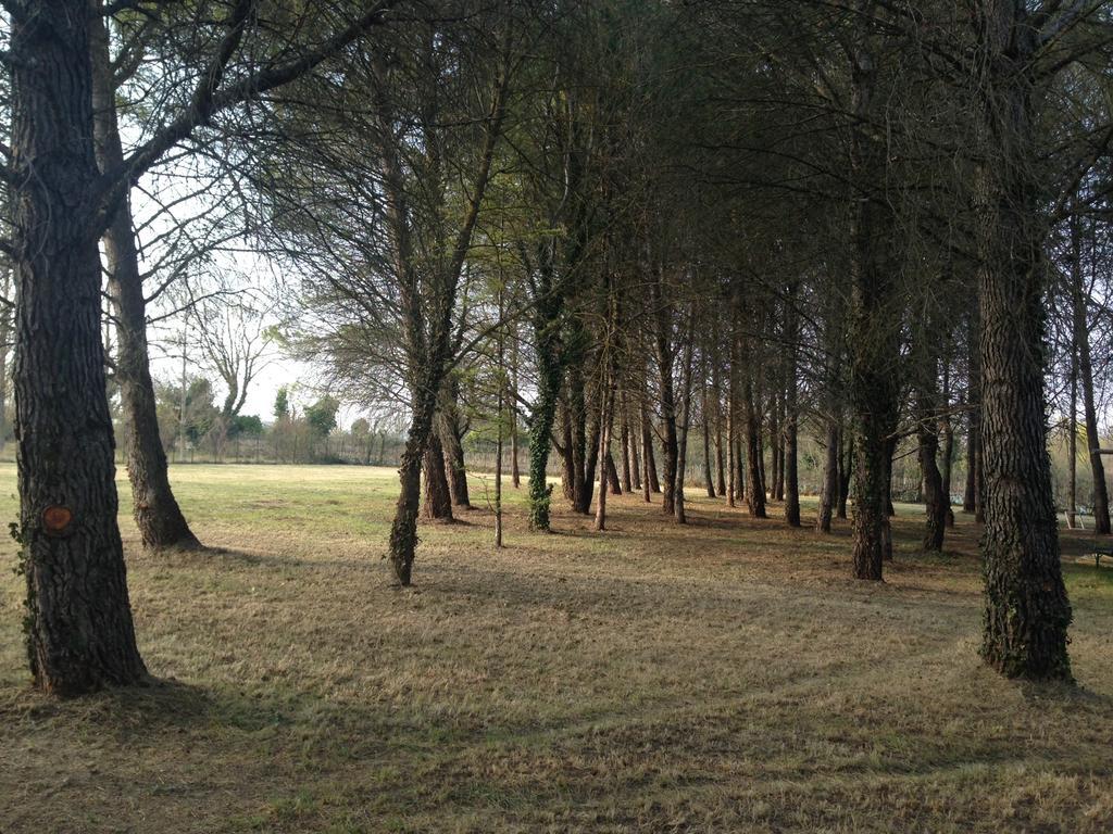 Le Mas De Trevouse Saint-Saturnin-lès-Avignon エクステリア 写真