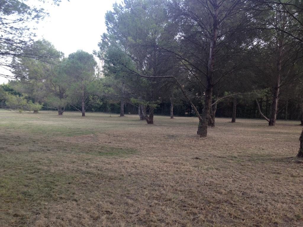 Le Mas De Trevouse Saint-Saturnin-lès-Avignon エクステリア 写真