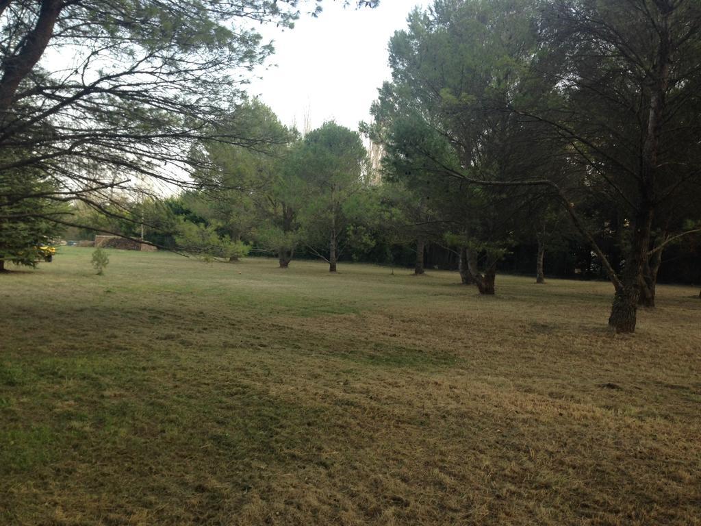 Le Mas De Trevouse Saint-Saturnin-lès-Avignon エクステリア 写真