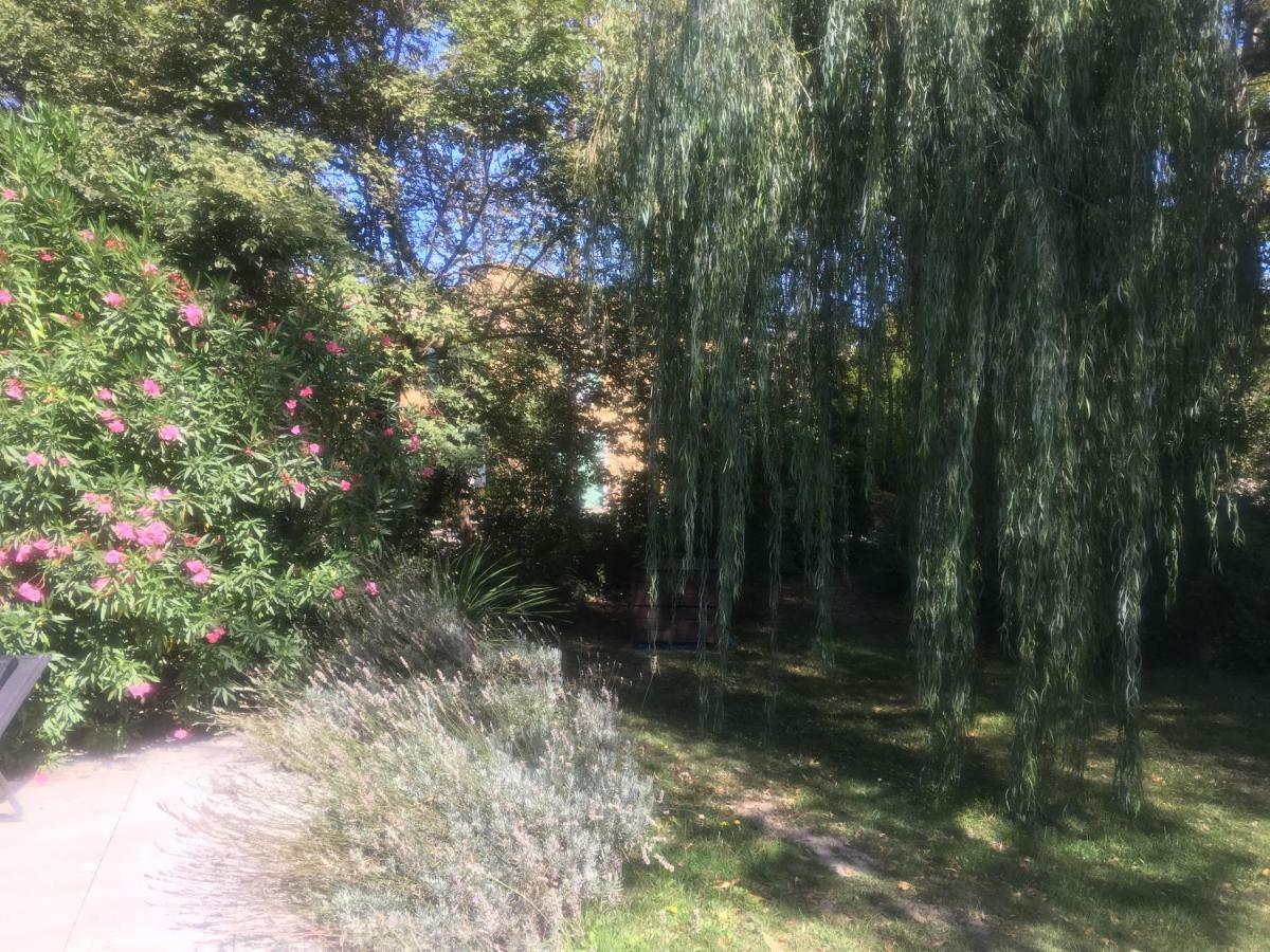 Le Mas De Trevouse Saint-Saturnin-lès-Avignon エクステリア 写真